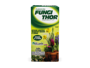 Fungithor