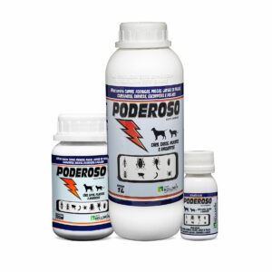 Poderoso - Kelldrin