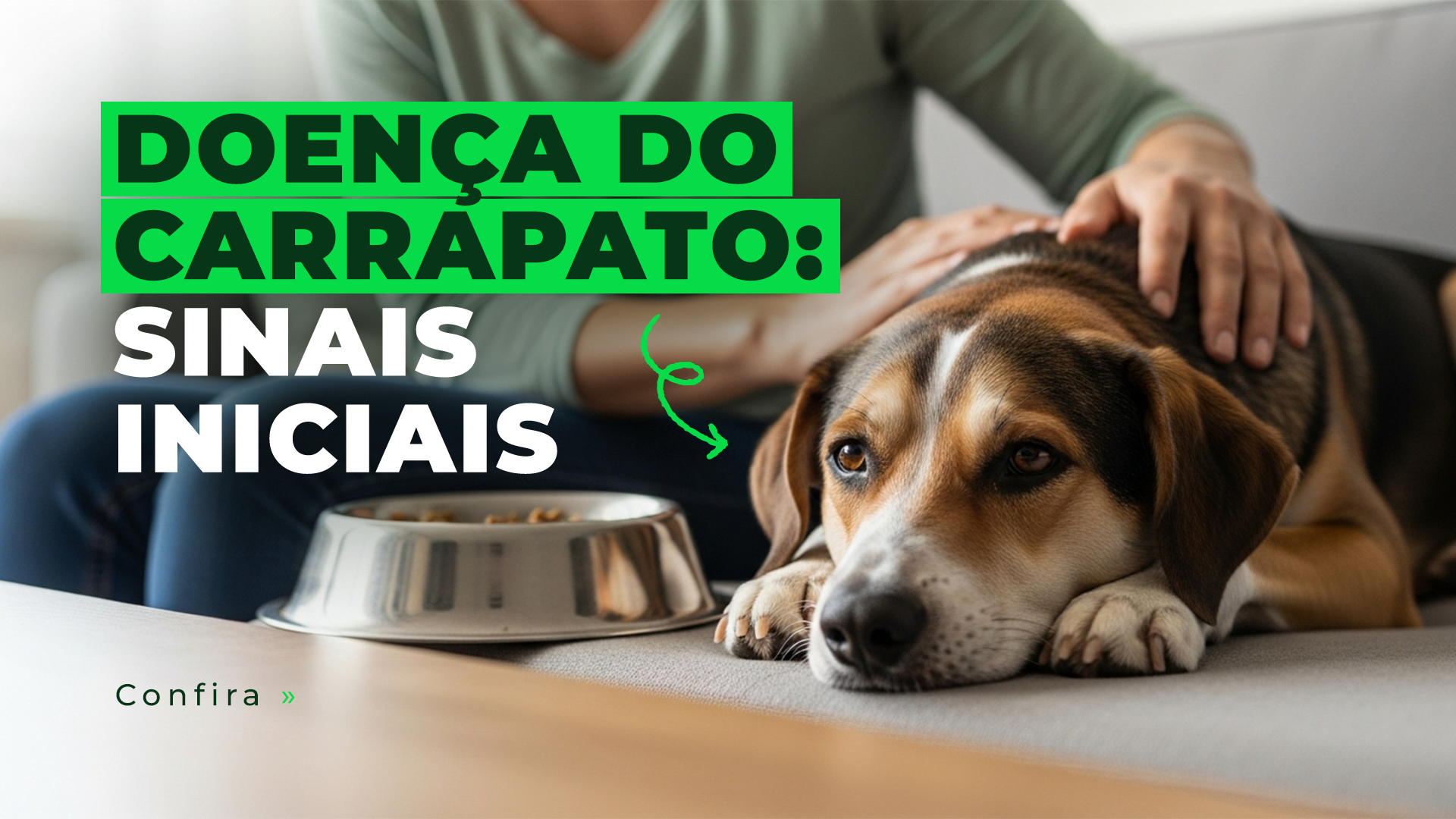 Sintomas iniciais da doença do carrapato: como reconhecer rápido e proteger seu pet