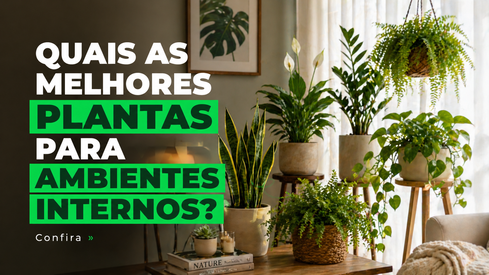 Quais as melhores plantas para ambientes internos?