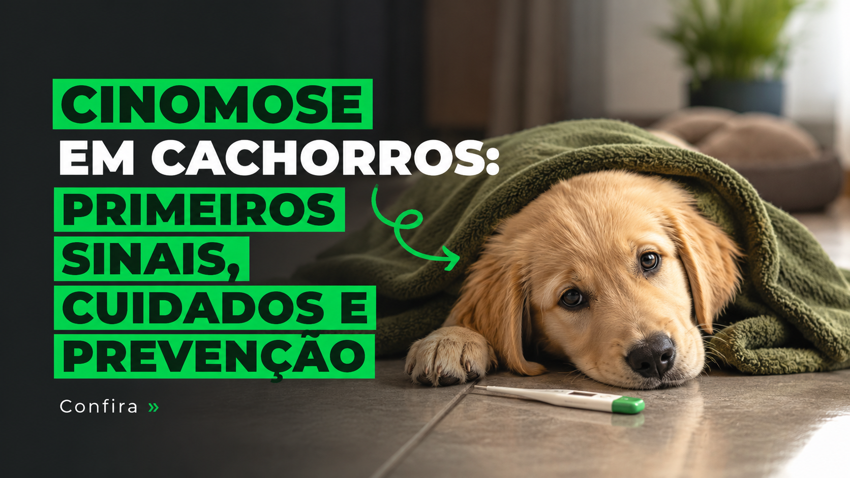 Cinomose em cachorros: primeiros sinais, cuidados e prevenção
