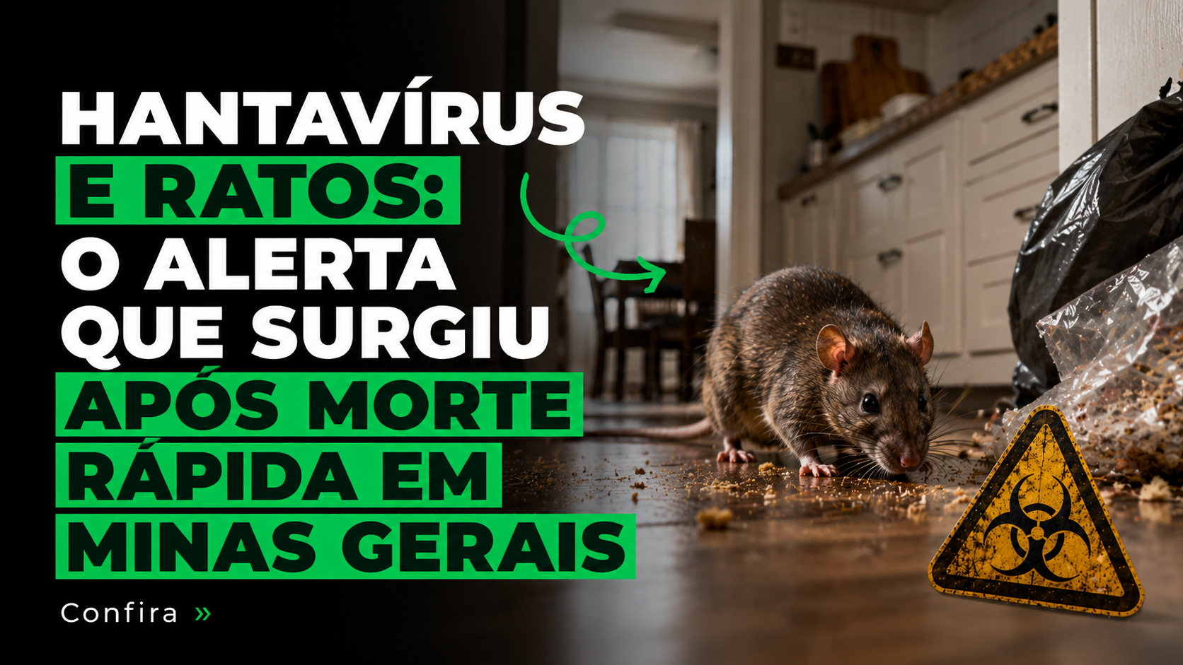 Hantavírus e ratos: o alerta que surgiu após morte rápida em Minas Gerais