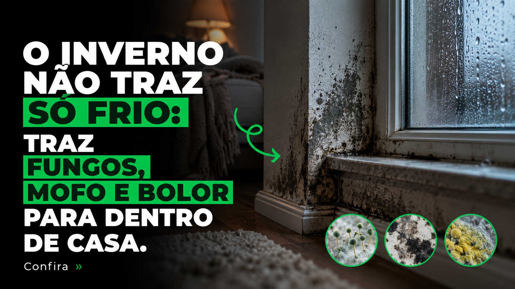 O inverno não traz só frio: traz fungos, mofo e bolor para dentro de casa, que podem afetar a sua saúde.