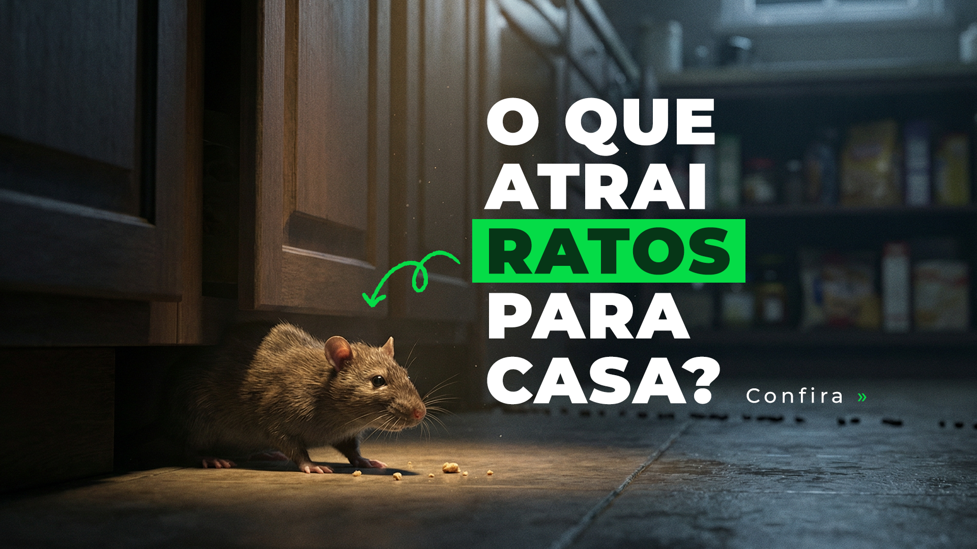 O que atrai ratos para dentro de casa e como cortar o problema pela raiz